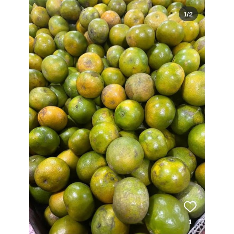 

Jeruk Wedang / Jeruk Peras / Jeruk Manis 1 kg