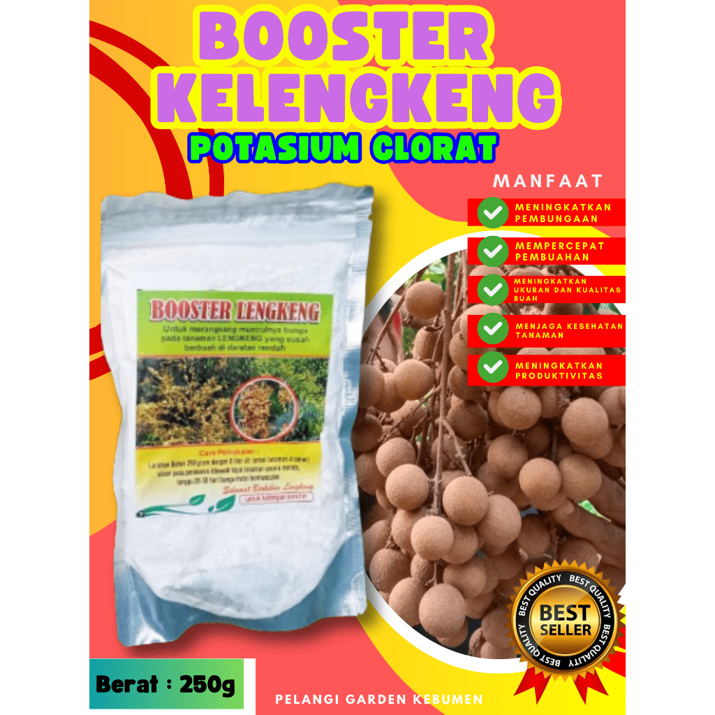 TERLARIS  Boster Kelengkeng Stek, Boster Kelengkeng Terbaik