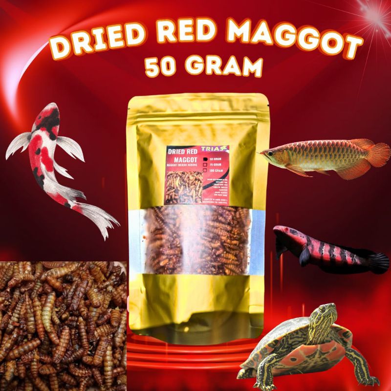 Dried Red Maggot/Maggot merah kering pakan ikan predator Channa, pakan ikan arwana, pakan kura kura 