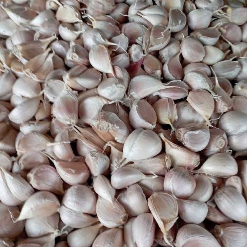

bawang putih kating 250gram