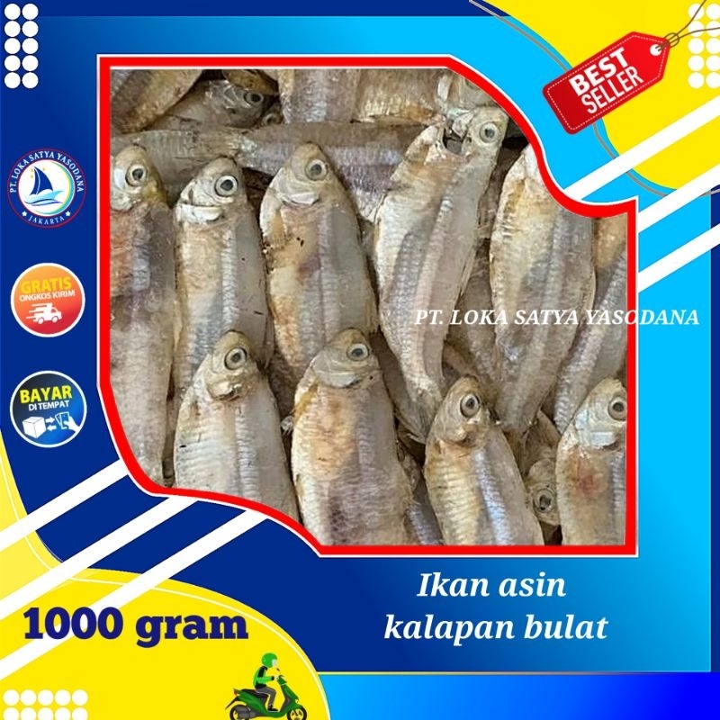 

ikan asin kalapan bulat 1000gram / 1 kg