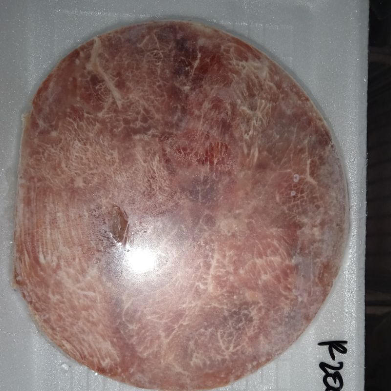 

ribeye meltique steak