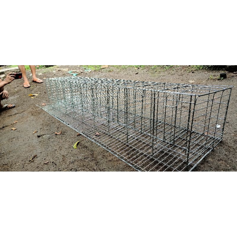 kandang ayam petelur pintu 10 isi 10 full skat