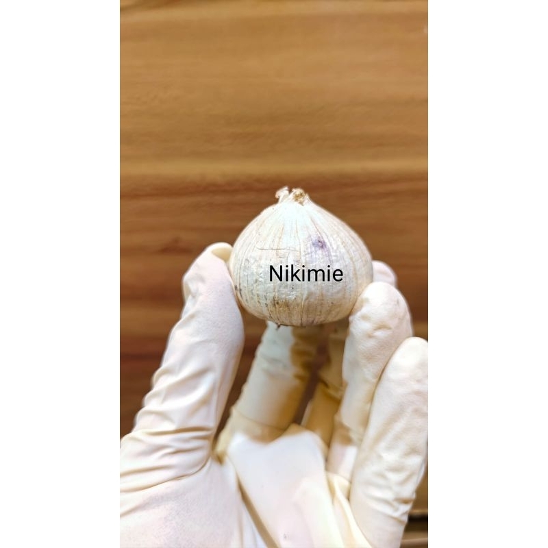 

BAWANG TUNGGAL BAWANG LANANG SIZE JUMBO FRESS BARU TIDAK KEMPOS