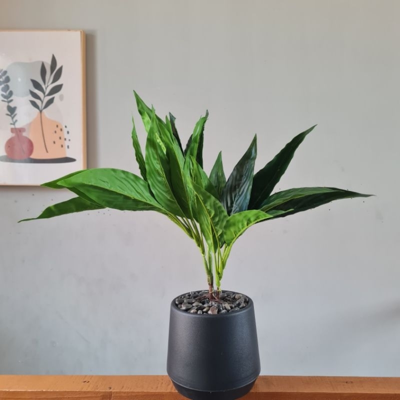 tanaman hias artificial gelombang cinta 3 cabang  plastik dekorasi