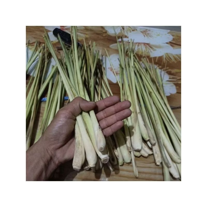 

sere segar 250 g__1000 g