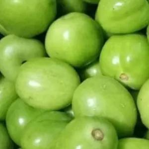 

tomat hijau 500 gr