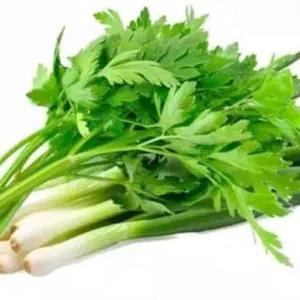 

daun bawang campur daun sledri 250 g