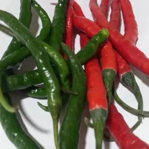 

cabe kriting merah campur cabe kriting hijau