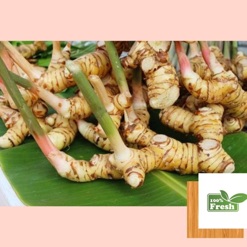 

Lengkuas (100 gr)