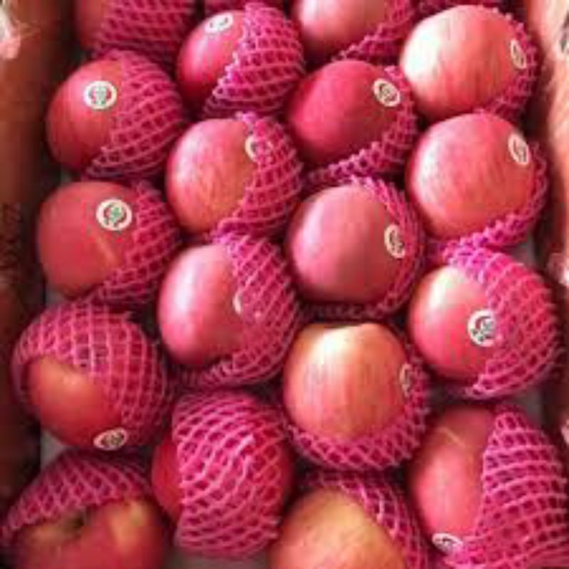 

[RBB] Buah Apel Fuji Rcc Termurah 4 Pcs