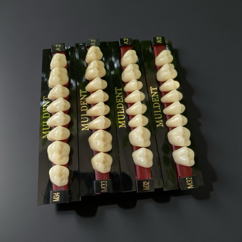 GIGI MULDENT GERAHAM 1 PAPAN