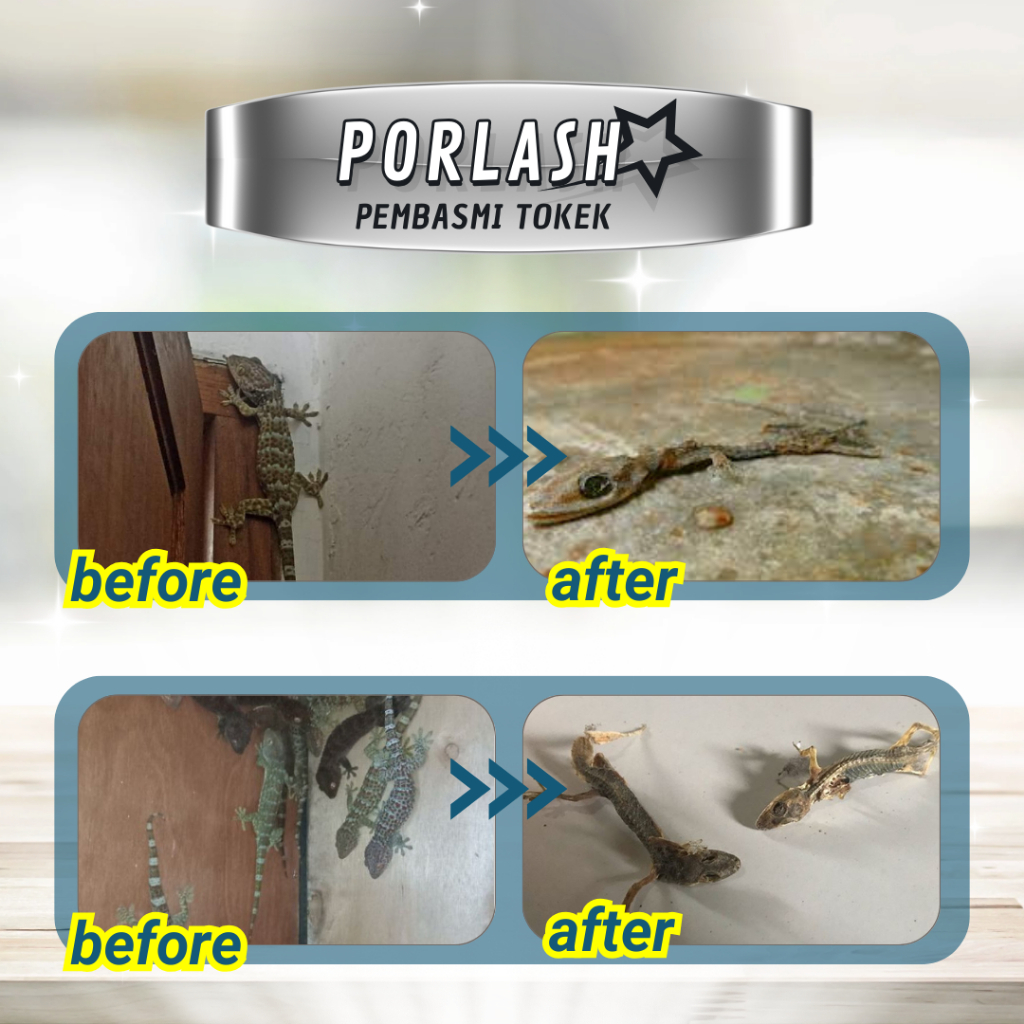 Ay00 PEMBASMI TOKEK SPRAY Gecko Repellant pembasmi tokek ampuh efektif basmi tokek Original