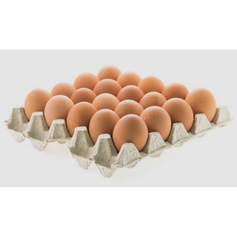 

Telur 1 kg
