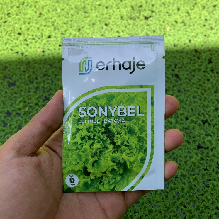 Benih selada batavia SONYBEL bejo seed