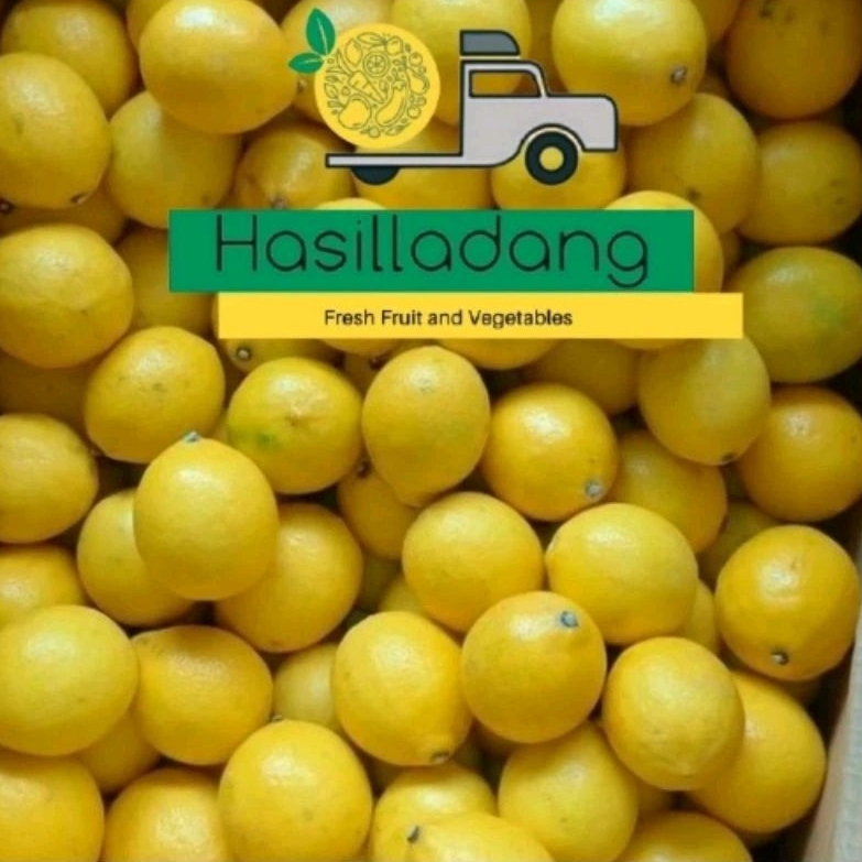 

Jeruk Lemon Fresh 1kg