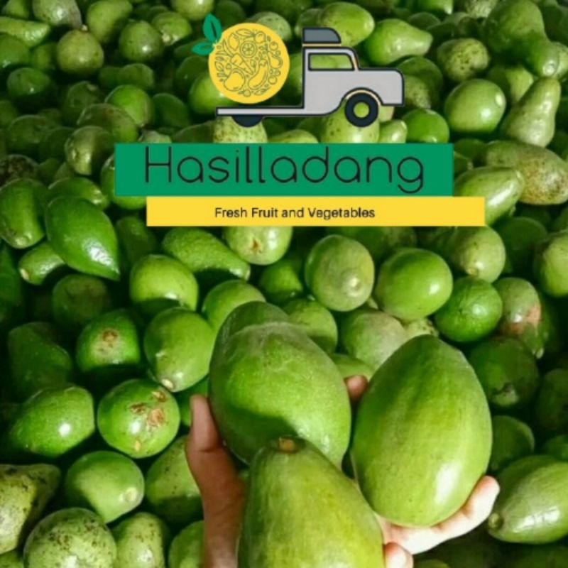 

Buah Alpukat 1 Kg
