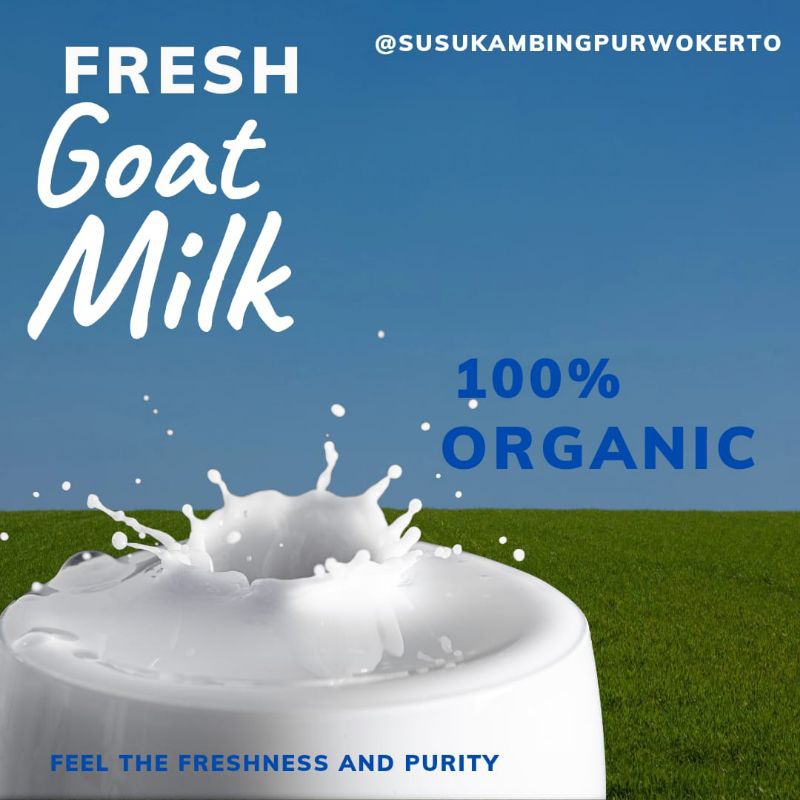 

Susu kambing murni - kemasan 250ml