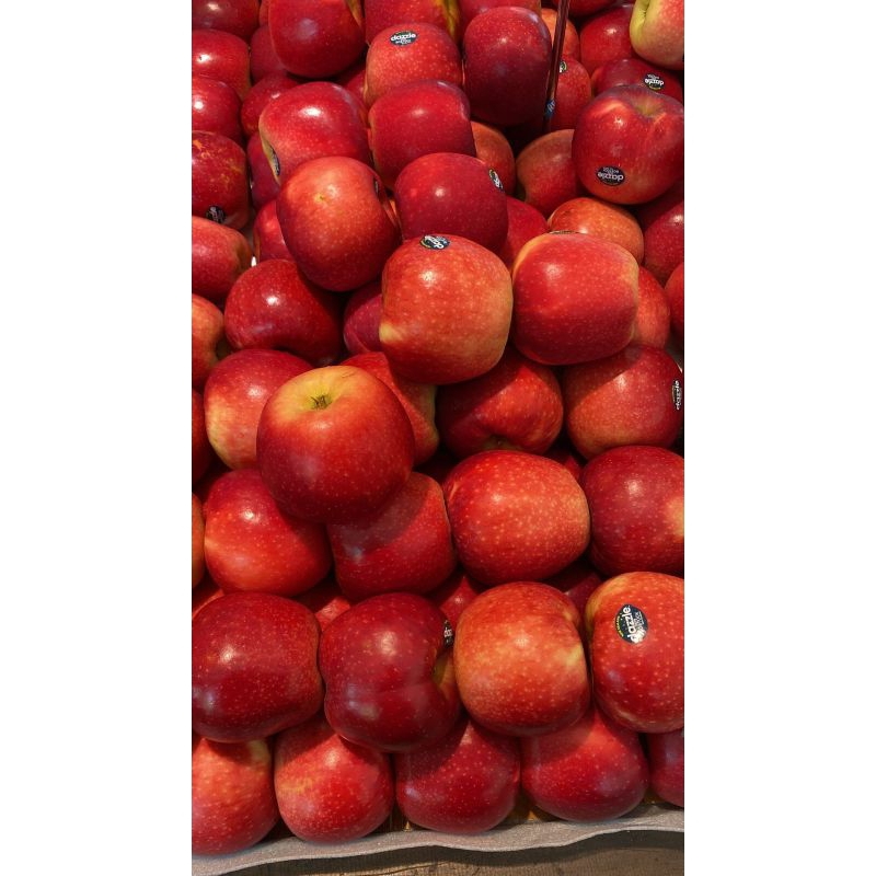 

Buah apel Dazzle manis super high Quality Apple 1 kg