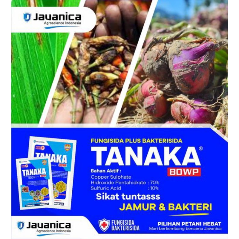 Tanaka Anti Layu Tanaman