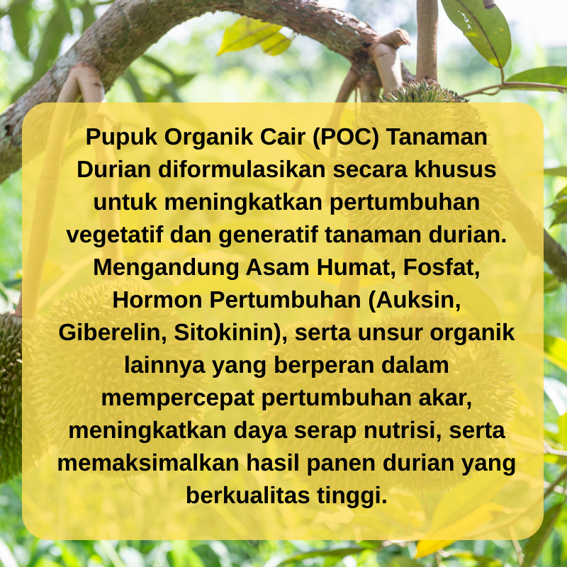 Shopritz Pupuk Organik Cair Durian Pelebat Buah,Pupuk Penyubur Tanaman Durian,Pupuk Booster Durian