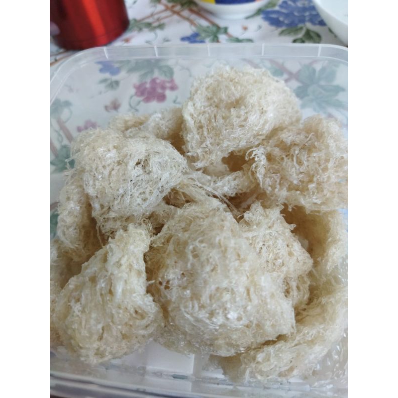 

Sarang Burung Walet Alami 100%