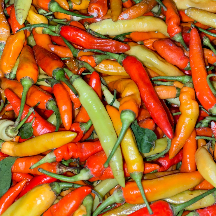 

Geene Cabai Rawit Super 1 kg - Toko Sayur Online Sidoarjo