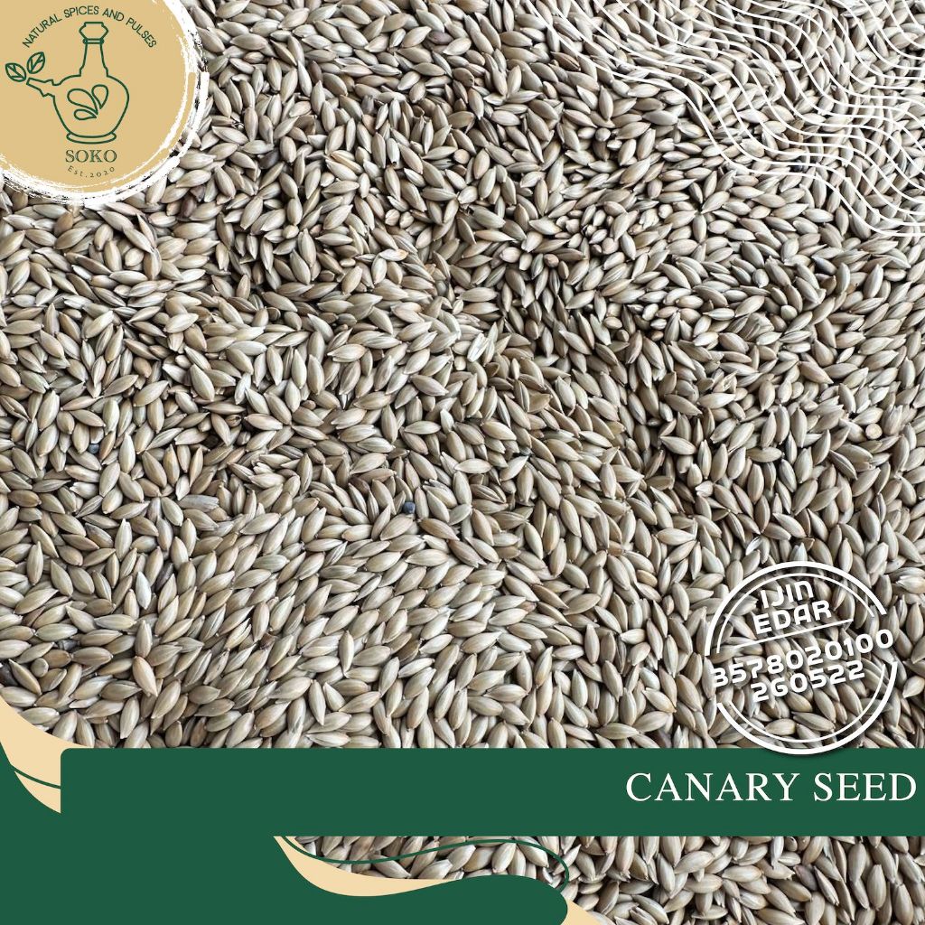 Canary Seed  [Pangan Burung] / Biji Kenari Kualitas Import / Pangan Love Bird