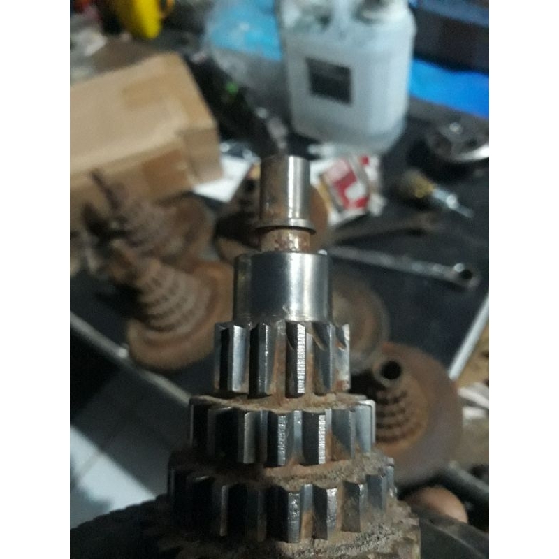 gigi borobudur vespa super