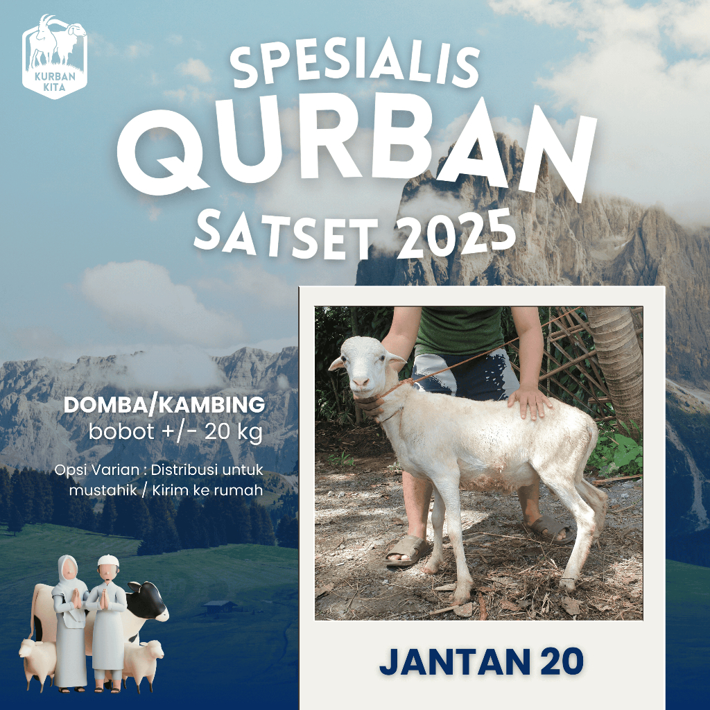 

Hewan Qurban Kambing Domba Qurban Kurban Hidup Bobot 20kg Kirim Qurban Kita