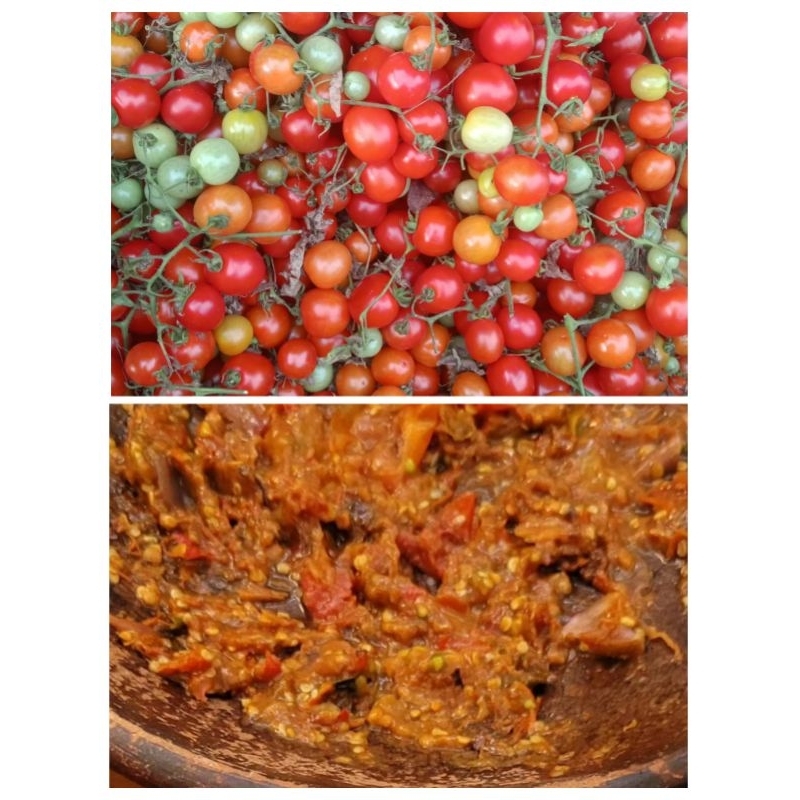 

Tomat Kecil Sambal 250 Gram