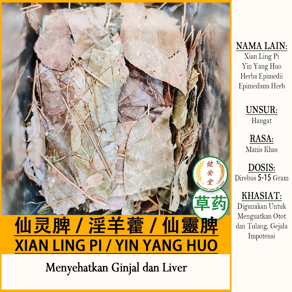 

XIAN LING PI / YIN YANG HUO / YANG HUO YE [Herba Epimedii 仙灵脾/淫羊藿] Herbal TCM Per 100 Gram