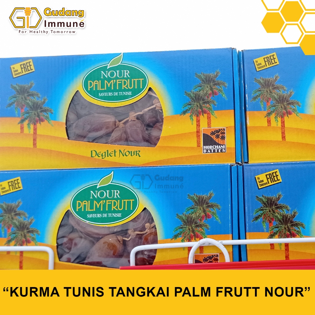 

Kurma Tunis Tangkai Palm Frutt Nour 500gr | Kurma Palm Nour | Kurma High Quality - Gudang Immune
