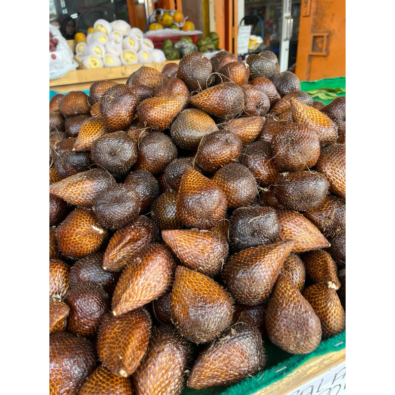 

SALAK Pondoh 1 KG buah tropis lokal cantik musim super