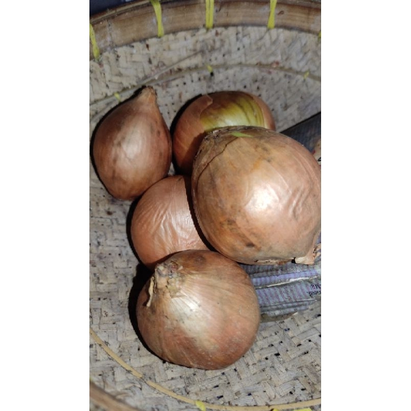 

JAMU HERBAL PREMIUM GOLD ALAMI