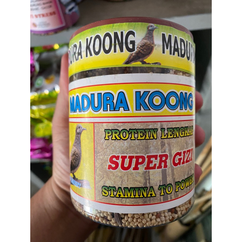 pakan burung perkutut madura koong