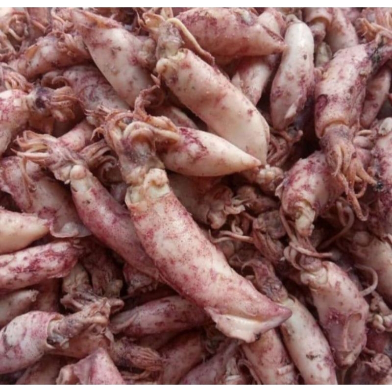 

cumi telor asli pangandaran murah