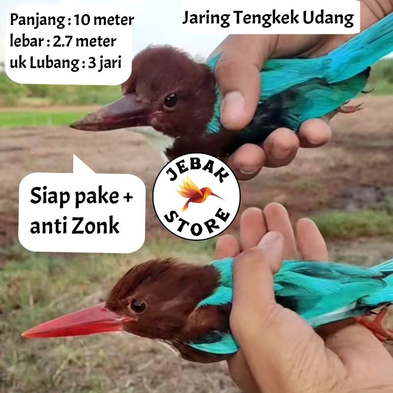 JARING BURUNG TENGKEK UDANG JALA TENGKEK KALI JARING BURUNG KUTUT JARING BURUNG KUTUT JARING BURUNG 