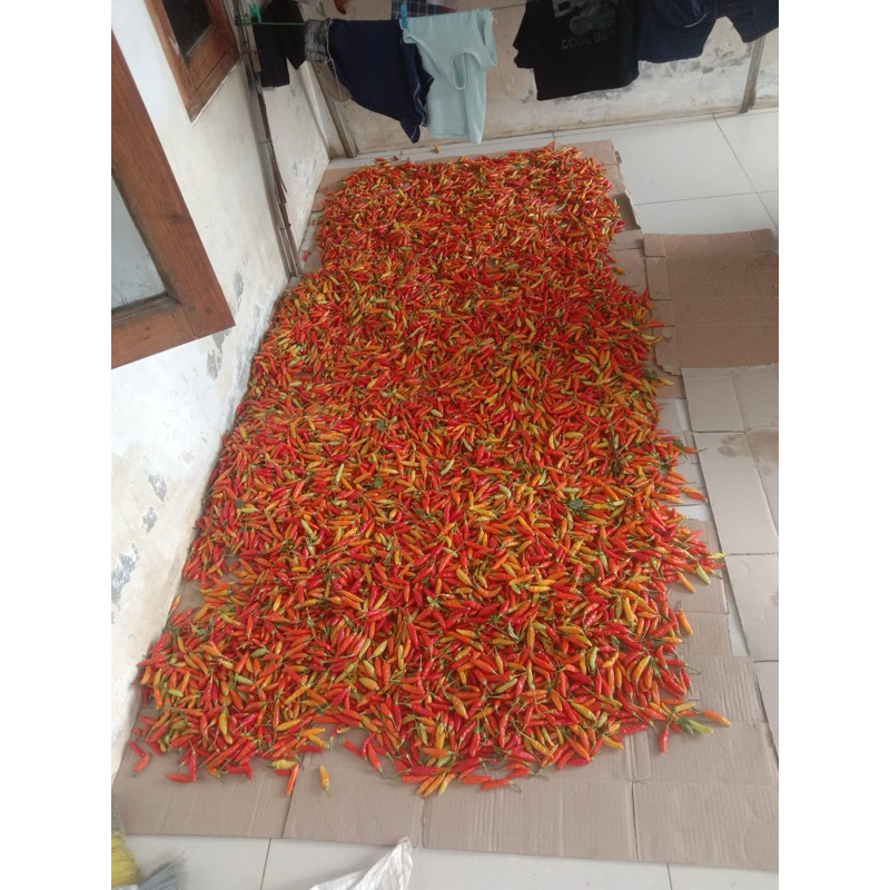 

Cabai merah, cabe jablai
