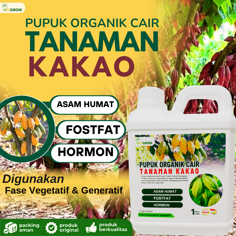 Pupuk organik cair pelebat buah kakao,Pupuk khsusus tanaman kakao,Pupuk booster kakao