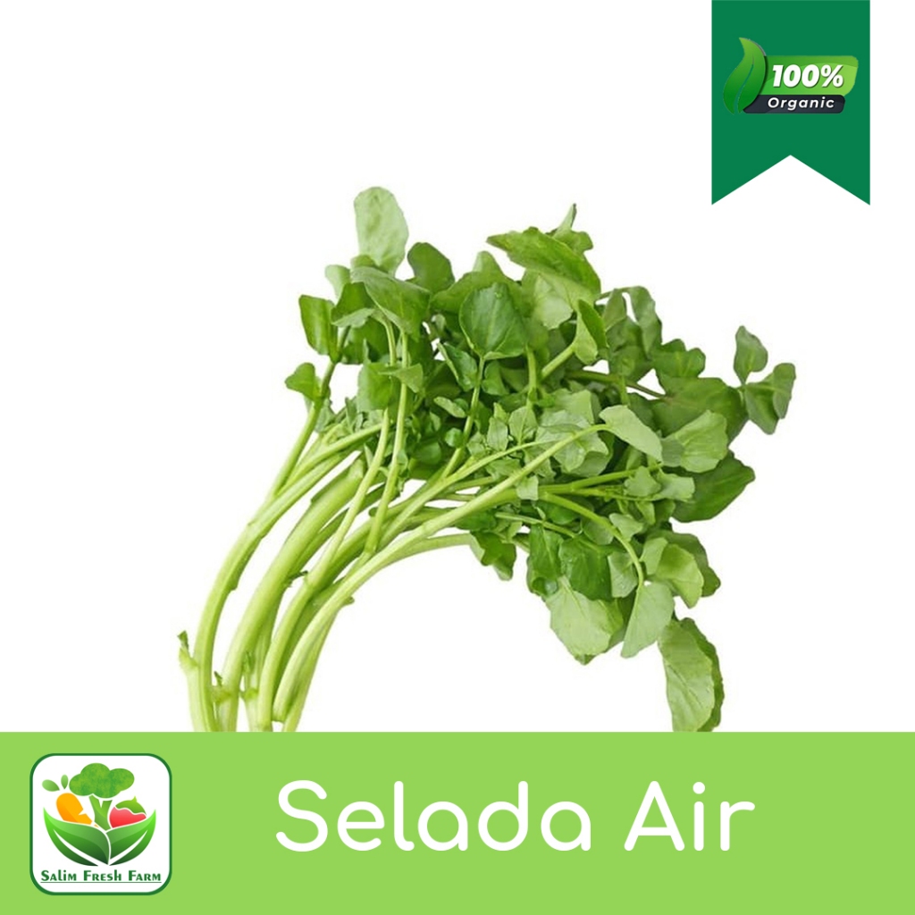 

Selada Air Segar / Selada Air 1 kg / Selada Air Bandung / Selada Air Sayur / Selada Air Fresh