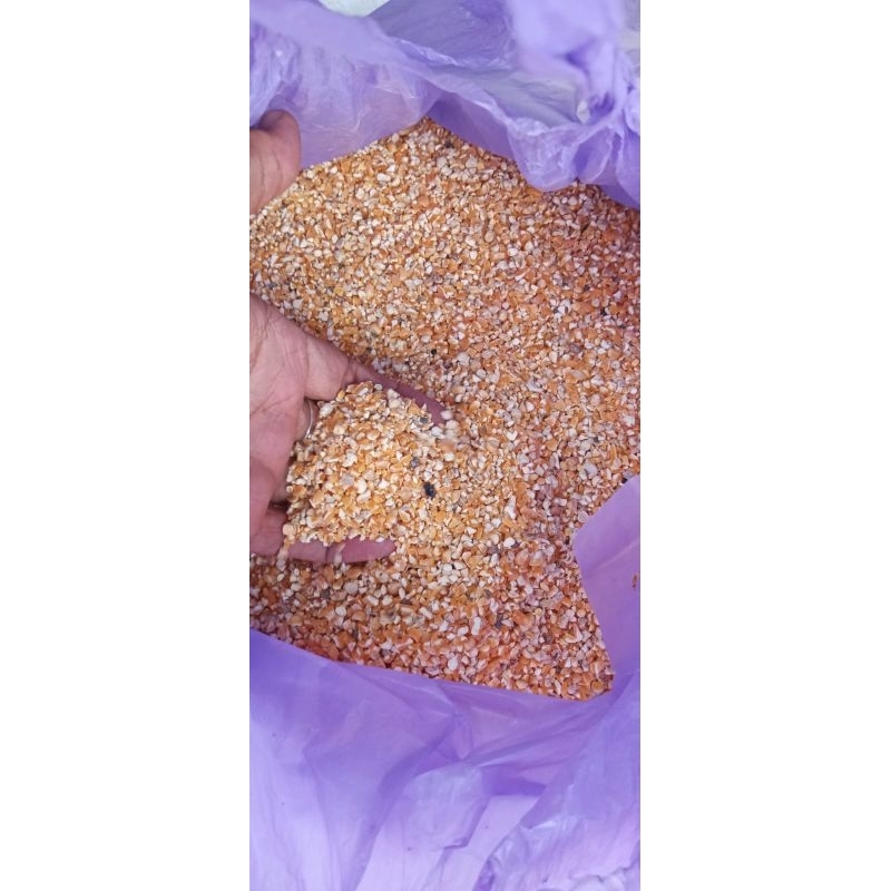 

jagung giling halus 8.500/kg