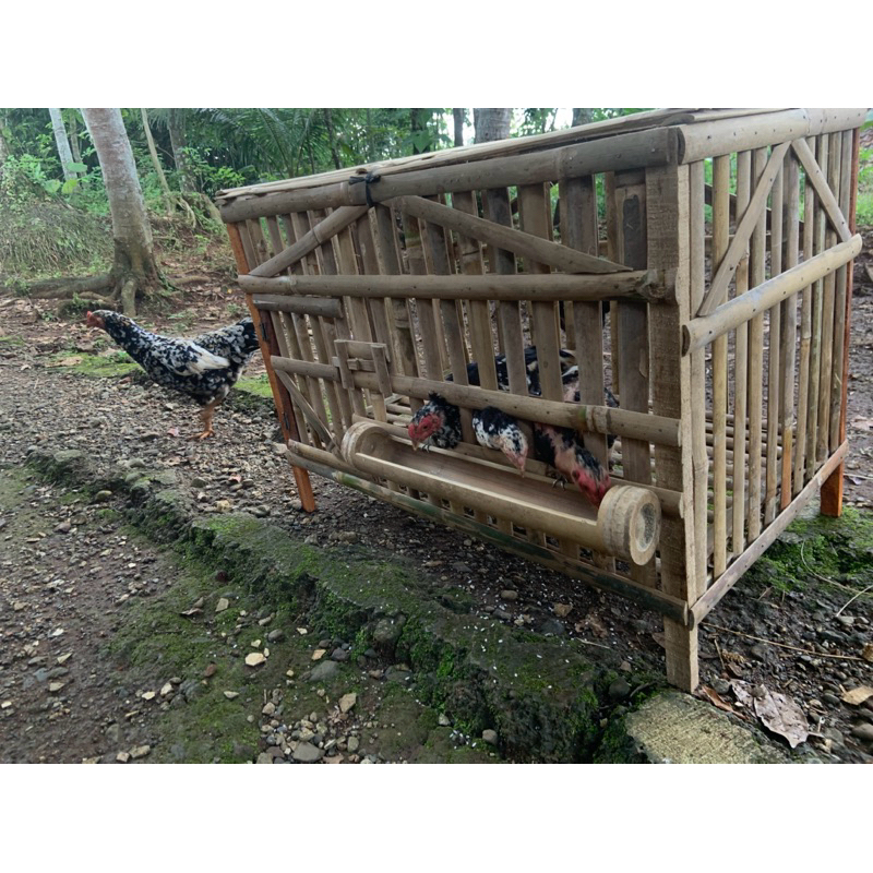 kandang bambu untuk burung merpati dll.