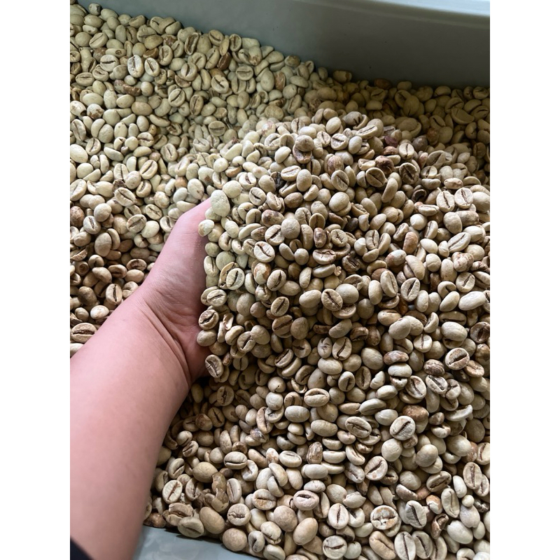 

BIJI KOPI PUTIH BBL SUPER