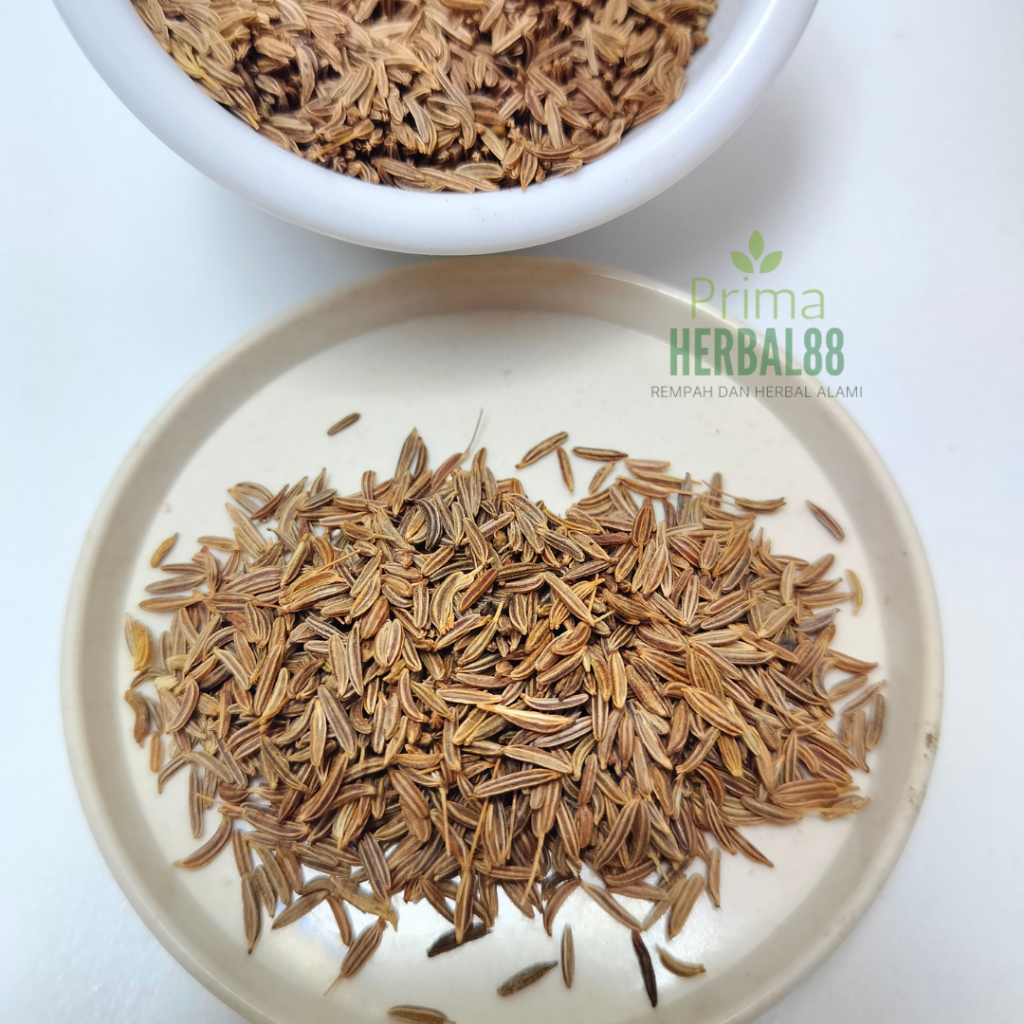 

Jintan Caraway |Rempah Kecil | Jintan Caraway Organik