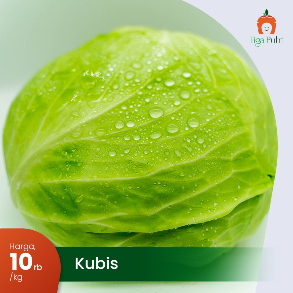 

Sayur Kubis Fresh Bersih Segar 1 kg