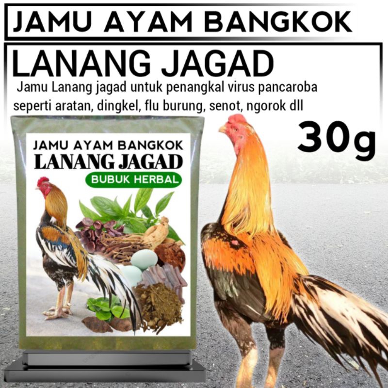 Campuran Pakan Ayam Herbal Anti Virus
