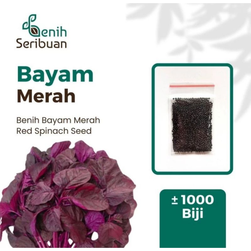 1000 Benih Bayam Merah Unggul Bintang Asia Bibits