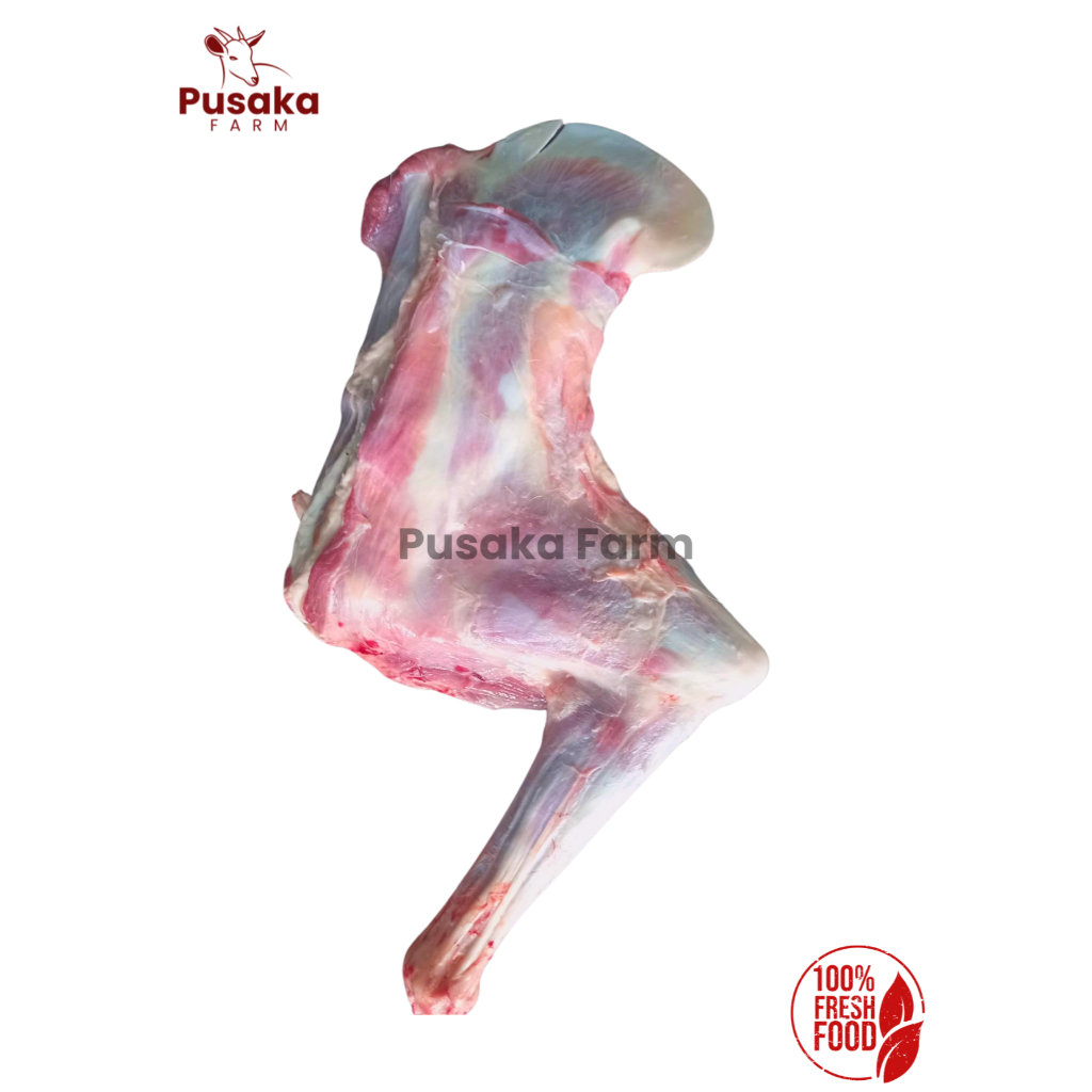 

Paha Depan Kambing Segar - PUSAKA DAIRY FARM