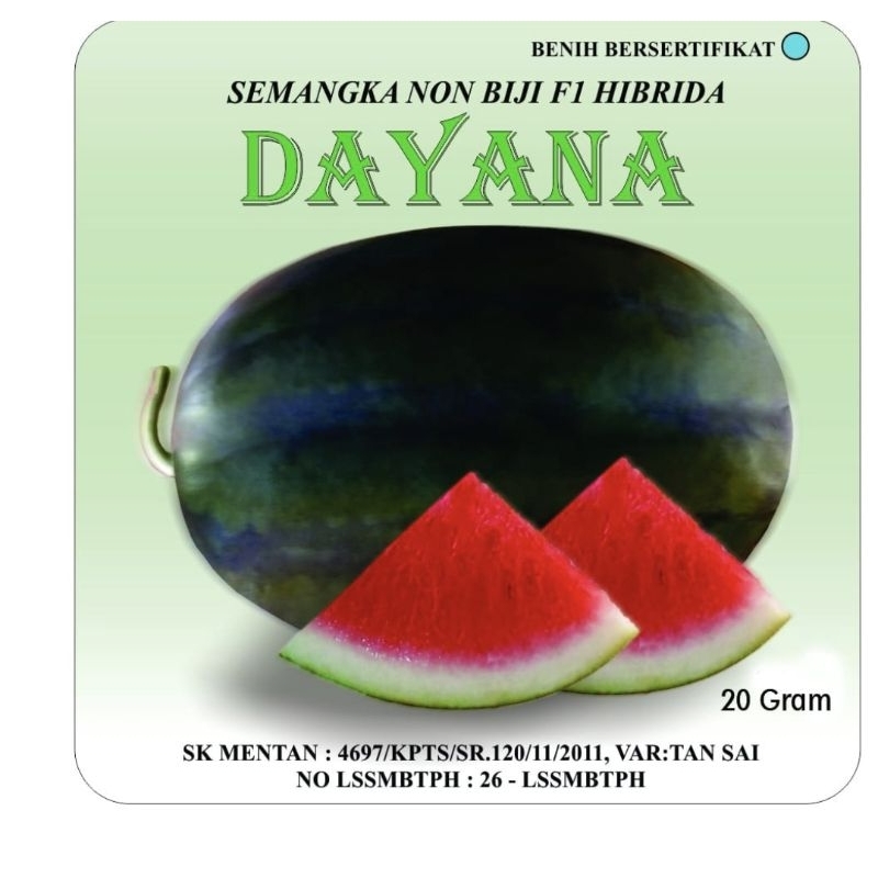 Bibit Benih Semangka Non Biji Dayana hibrida F1 Sari Tani